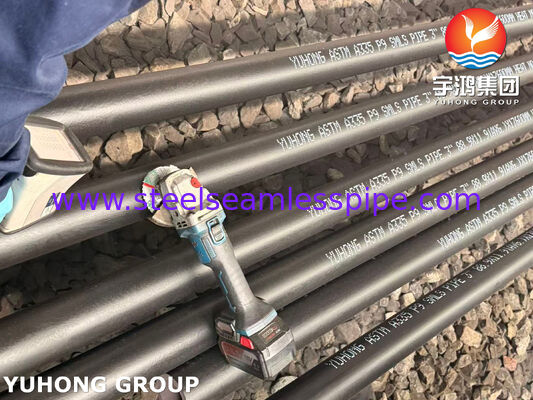 ASTM A335 ASME SA335 P9 pipa baja paduan tanpa jahitan tahan temp tinggi creep untuk petrokimia dan pembangkit listrik pemasok