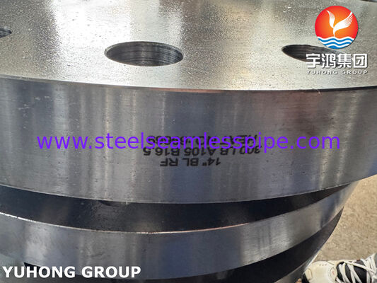 ASTM A182 F316L Blind Flange 1.4404 Flang baja tahan karat Flang tempa Flang BLRF Flang