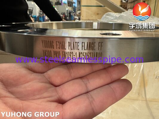 EN1092-1 F316L Flat Steel Face Plate Flange PN2.5-PN100, DN10-DN600