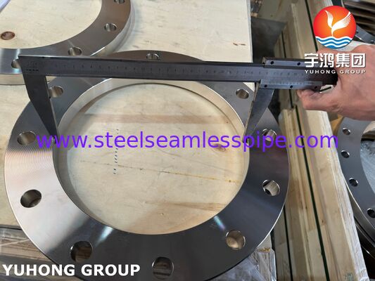EN 1092-1 Type 01 Plate Flange Flat Face ASTM A182 F316L / 1.4404 Stainless Steel Flange