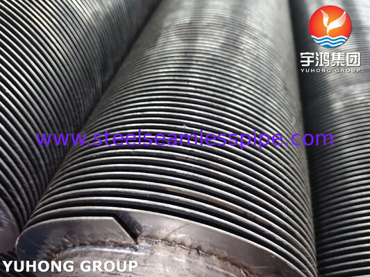 ASTM A376 TP347H Carbon Steel Fin High Frequency Welded Fin Tube for Power Plant Economizer