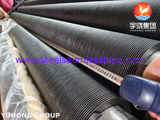 ASTM A376 TP347H Carbon Steel Fin High Frequency Welded Fin Tube for Power Plant Economizer