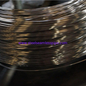 Kawat Baja Pegas Datar Polandia Stainless Steel Cold Rolled Flat Wire