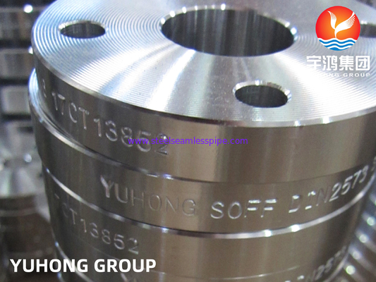 DIN2573 F316L Stainless Steel Slip-on Flange (Flat Face), digunakan dalam lingkungan suhu tinggi
