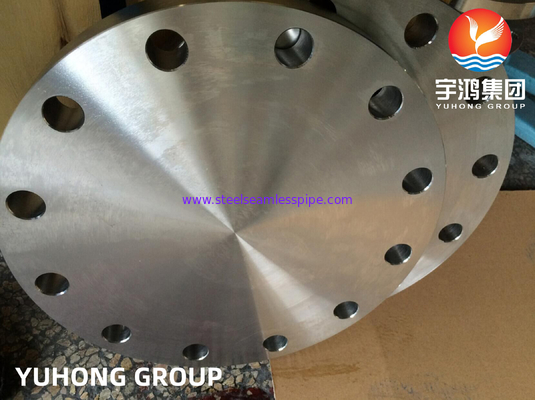 ASTM A182 F317/317L 1.4449/1.4438 Flange Blank dari Baja Berkualitas