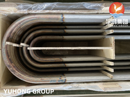 AMSE SA213 TP304 304L Stainless Steel Seamless U Tube Untuk Heat Exchanger Boiler