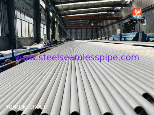ASTM A213 TP316L Cold Rolled Stainless Steel Seamless Pipe untuk High Temperature Heat Exchanger dengan Kloride Corrosion Resistance