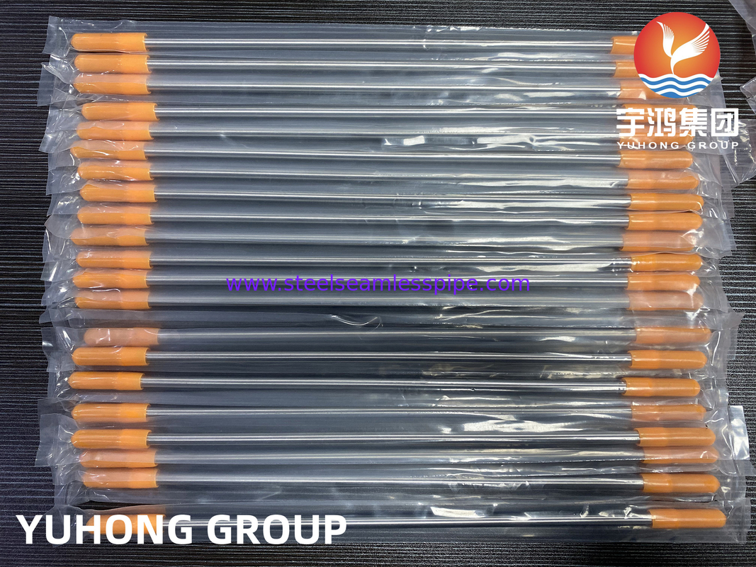 EN10305-1 Tabung Kapileri Presisi Cahaya Annealed Stainless Steel Seamless Tubing A269 TP304 TP316L