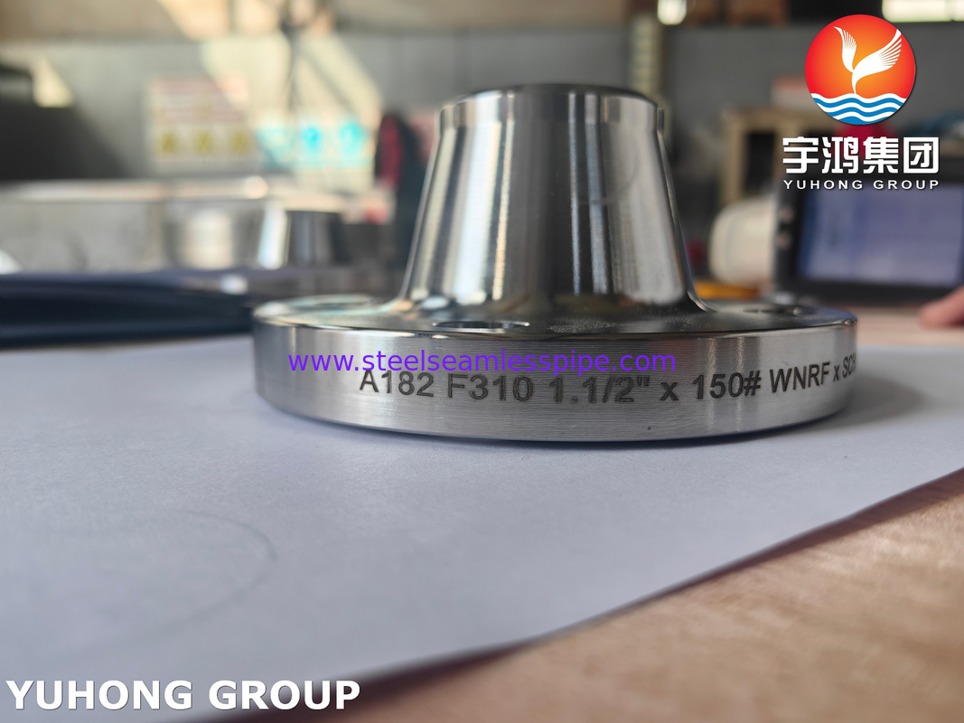 ASTM A182 F310 Flange WNRF Baja Rinsing ASME B16.5 Flange Baja Tempa