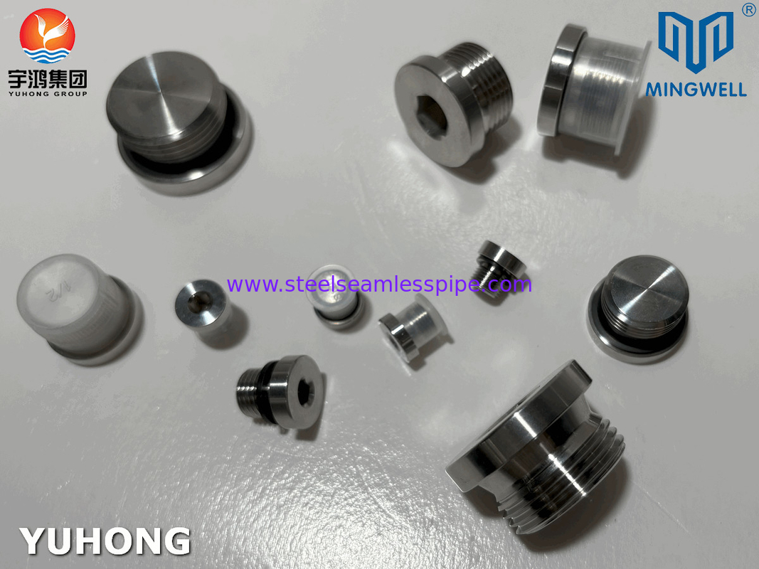 Dipalsukan 316L Hidrolik stainless steel Fitting Plugs Pria dan Wanita Dengan Standar JIS B8363