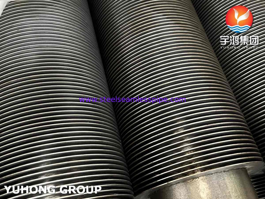 HFW ASTM A213 T9 Tube Seamless Alloy Steel Dengan Aplikasi 11Cr Convection Tube Coil