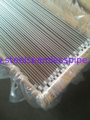 Cerah Annealed Stainless Steel Tabung ASTM A213 / ASME SA213-10a TP304 / TP304H / TP304L untuk penukar panas