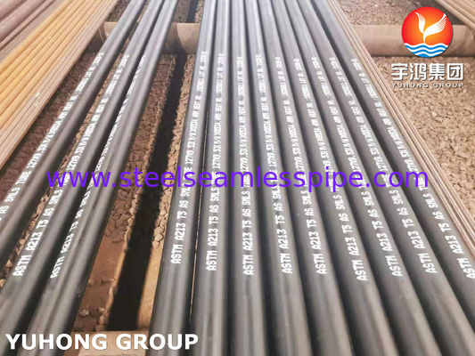 ASTM A213 T5 15Mo3 Chromum-Molybdenum Alloy Steel Seamless Boiler Tube Hot Finished