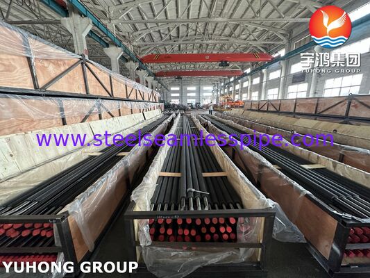 ASTM A213 T91 Tube Steel Alloy Seamless dengan CS Serrated Fin Tube, HRSG (Heat Recovery Steam Generator) Aplikasi