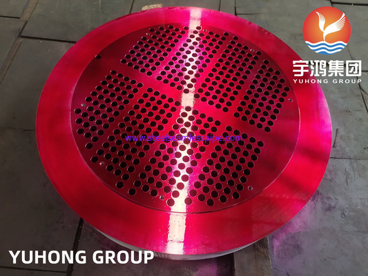 F304L Stainless Steel TUBESHEET untuk shell dan tabung penukar panas