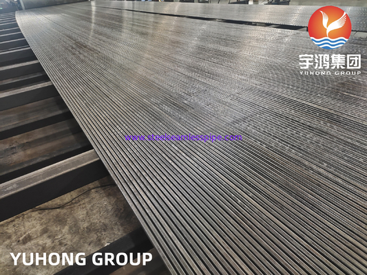 ASTM A213 / ASME SA213 T1 T11 T12 Baja Paduan Tabung Seamless untuk aplikasi Boiler, Superheater, Heat exchanger